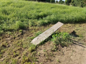 2021-08-06-17.55.51